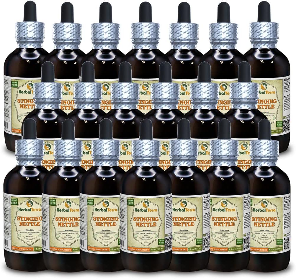 Stinging Nettle (Urtica Dioica) Glycerite, Organic Dried Leaves Alcohol-Free Liquid Extract (Brand Name: HerbalTerra, Proudly Made in USA) 4x4 fl.oz (4x120 ml)