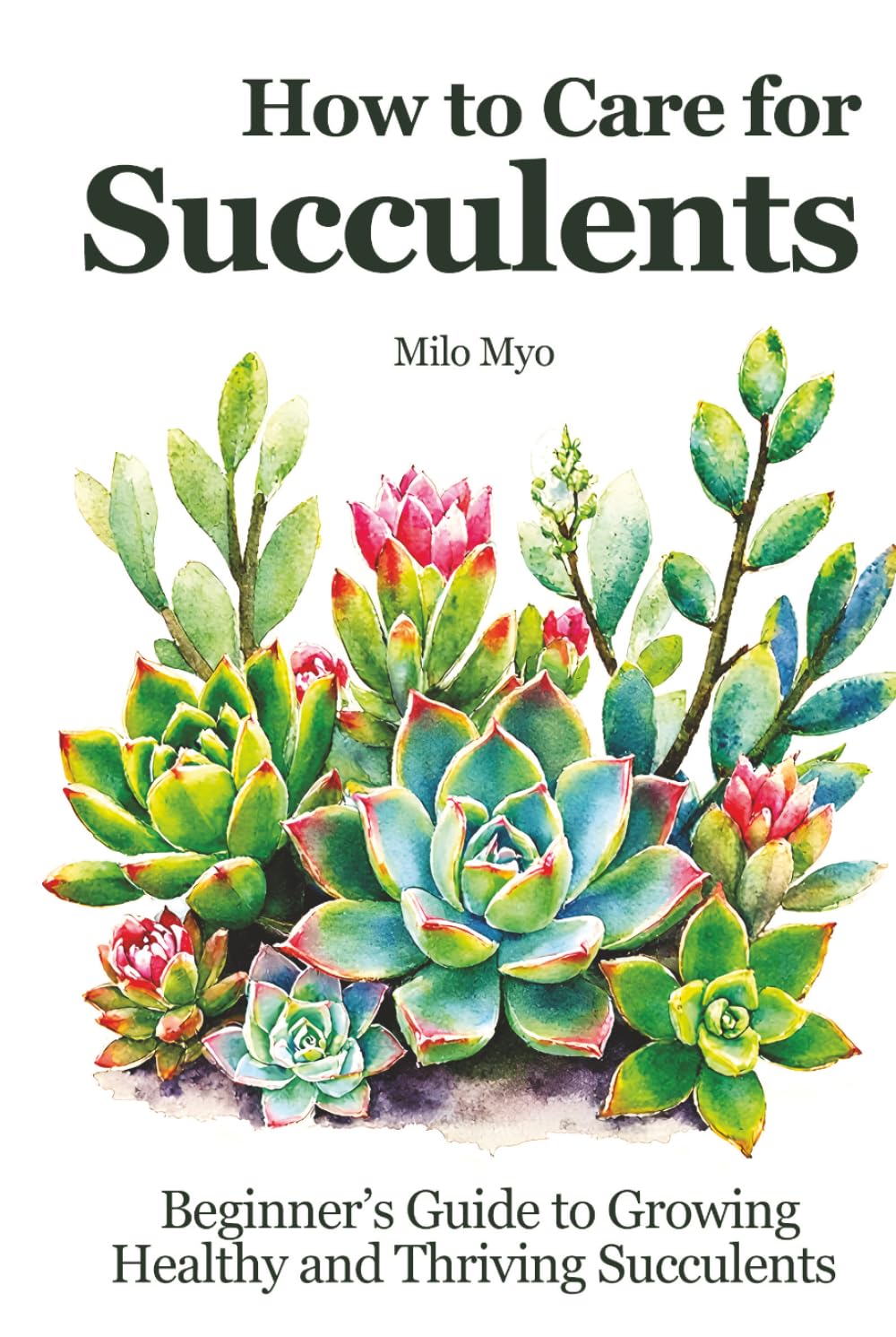 How to Care for Succulents: Beginner's Guide to Growing Healthy and Thriving Succulents