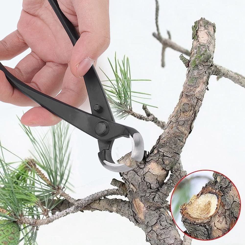 Bonsai Tools, Branch Cutter Bonsai Cutters Branch Cutter Small Bonsai Scissor Garden Potted Plants Tool for Garden 185mm
