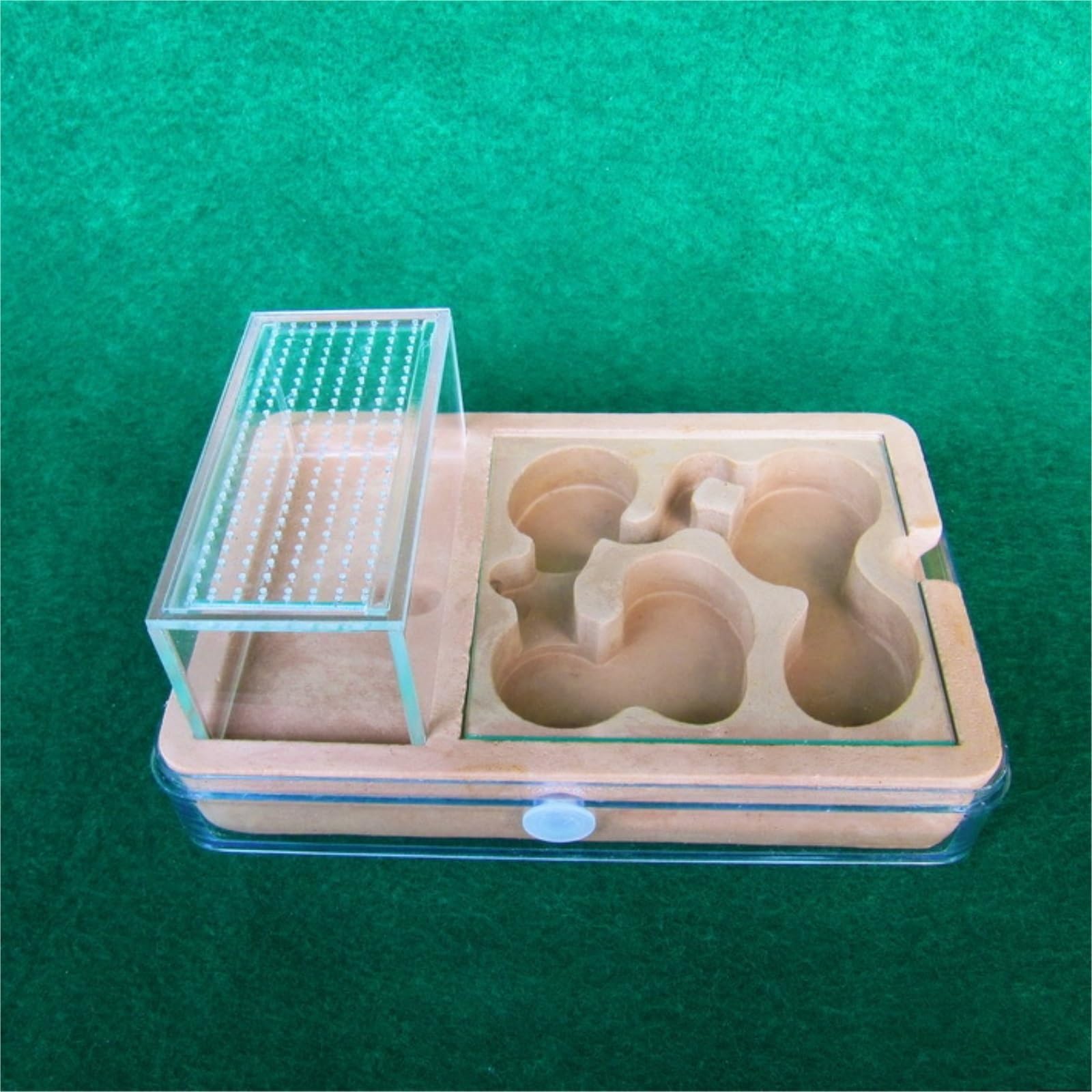Habitat for formicai Trasparenti – for Tenere Appassionati e osservatori, Fattoria in Acrilico Trasparente for colonie di formiche Vive Casetta per formiche