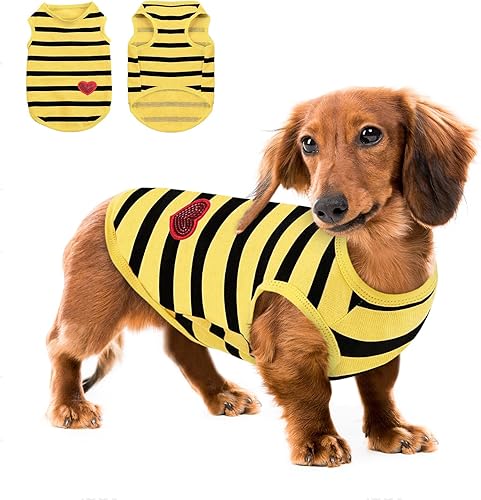 Queenmore Medium Dog Shirt,Soft Breathable Dog Shirt for Dogs Cats Boy Girl,Pet 