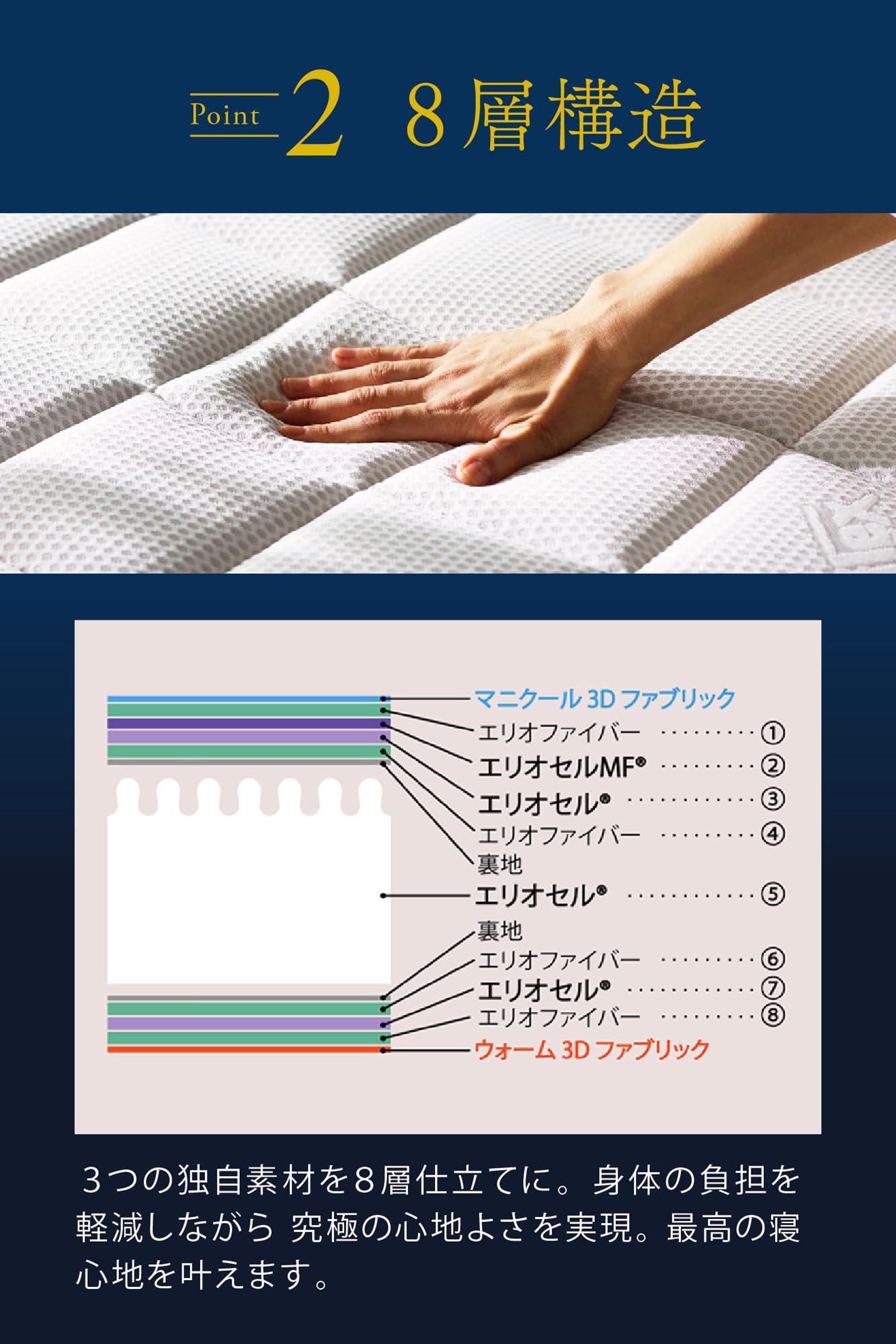 Amazon.co.jp: マニフレックス エコサンドロ 日本上陸30年 特別記念