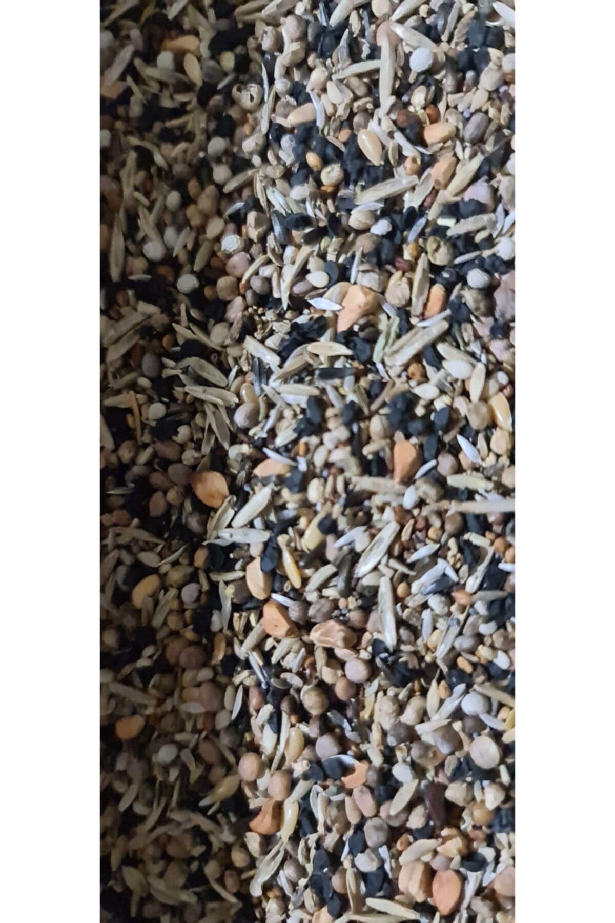 VerseleXLaga Yabani Sağlık Tohumu 500 g