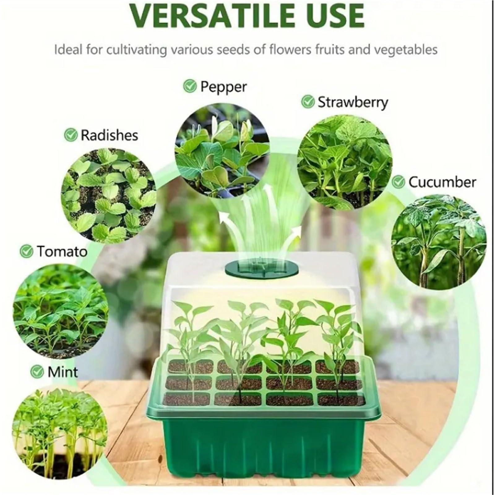 Semillero Paquete de 5 propagadores for Plantas, bandejas Semillas 12 Celdas con Tapas, Kit jardinería Interior for Plantar para Plantas