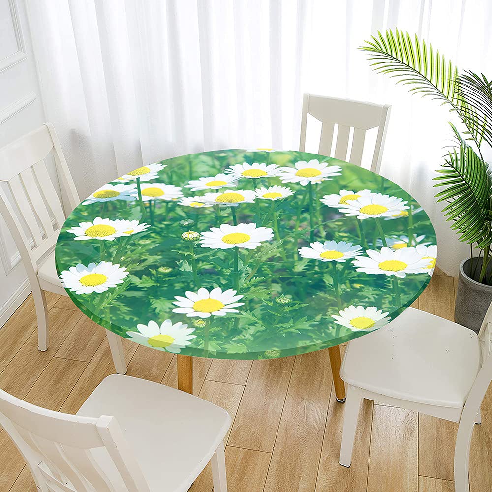 Chickw1 Ronde Nappe De Table Élastique Ajustable Imperméable, Impression De Marguerite, Couverture De Table Kitchen Extensible Protection Tables Pour Restaurants (Marguerites Colorées,120cm