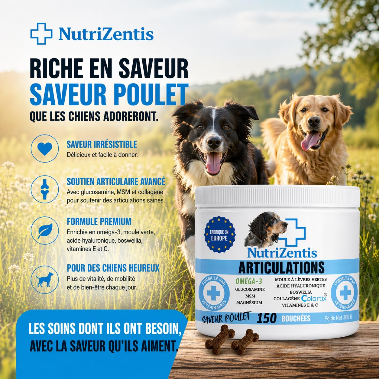 Articulation Chien 300 Bouchées Anti Inflammatoire Chien Glucosamine Chondroïtine MSM Collagène Colartix® Omega 3 Poudre de Moule Verte | Fabriqué en Europe | 300 Bouchées au Poulet