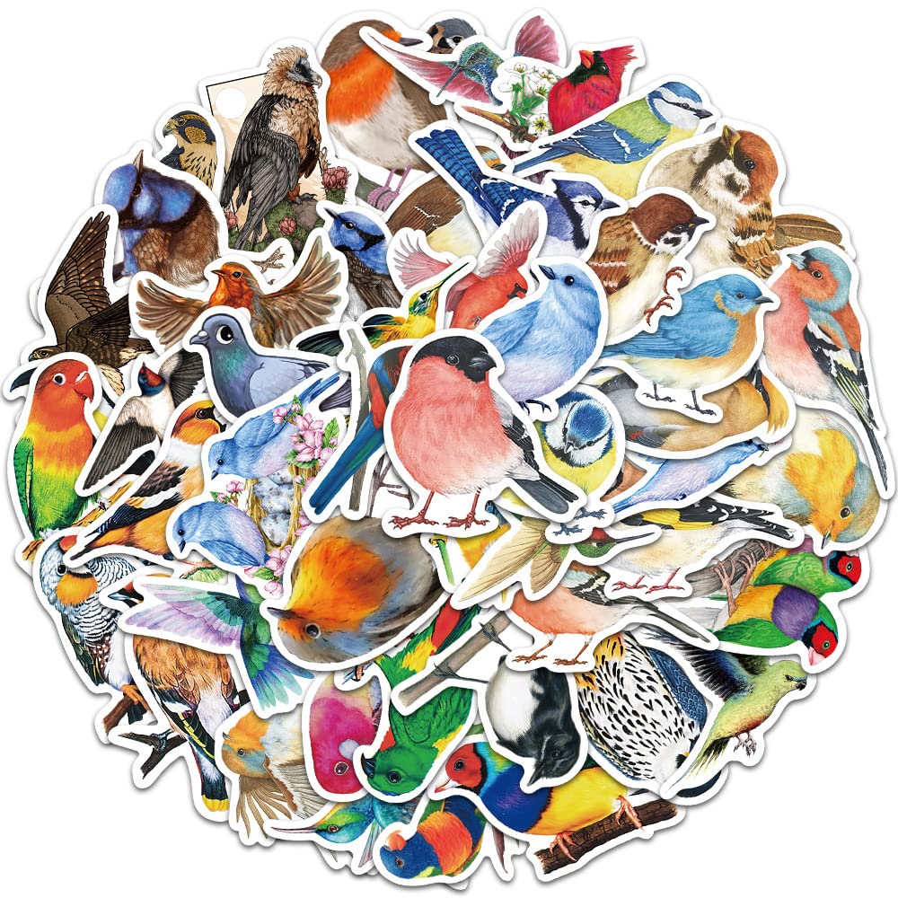 Photo 1 of  Colorful Stickers for Water Bottle, Laptop, MacBook, Phone, Hydro Flask, Helmet 4 item bundle 