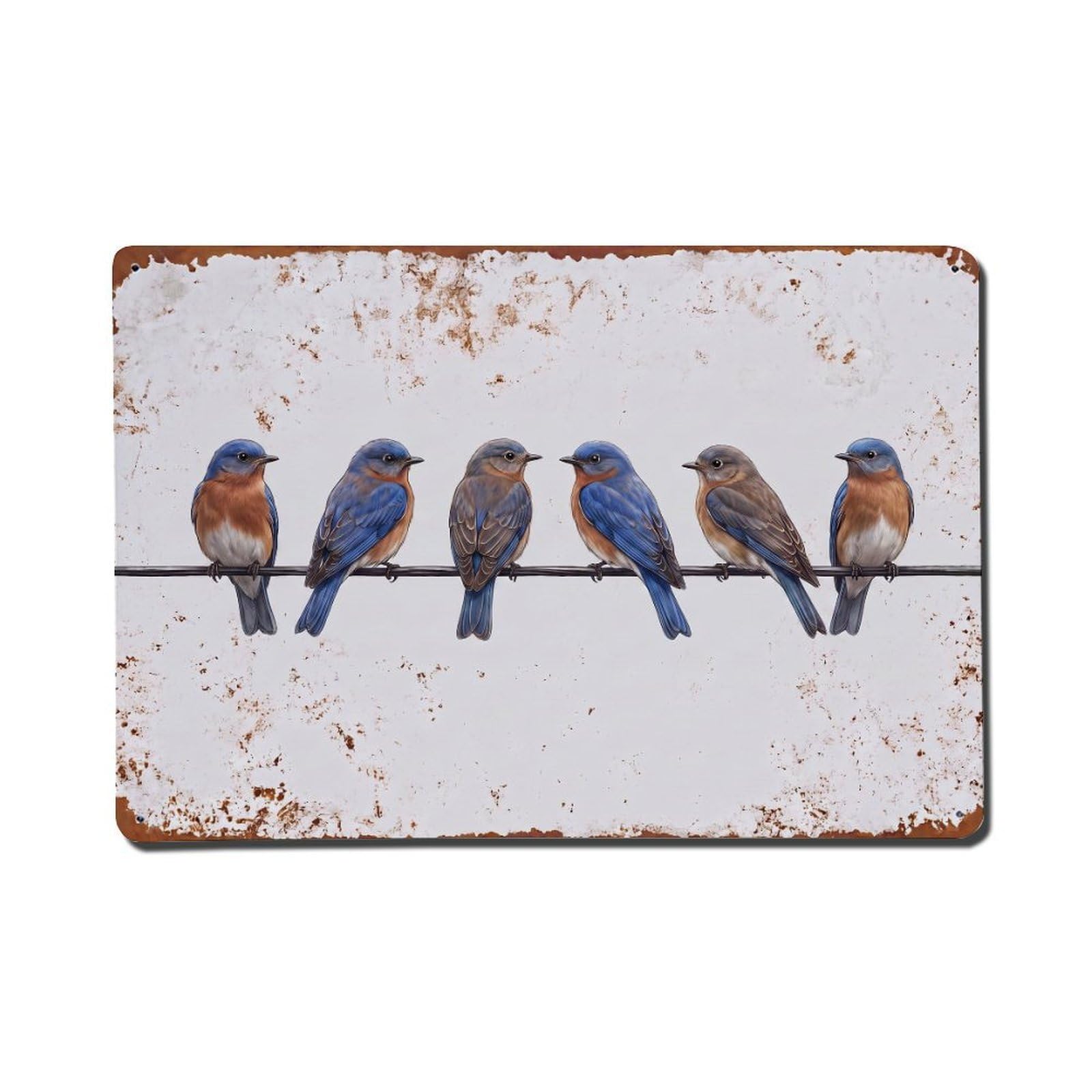Vintage Retro Birds Eastern Bluebird Metal Tin Sign