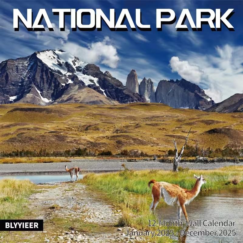 National Park 2025 Wall Calendar | 12" x 24" Open Hangable Monthly | Thick & Sturdy Paper | Take a Tour of National Parks | Family Planner Calendar