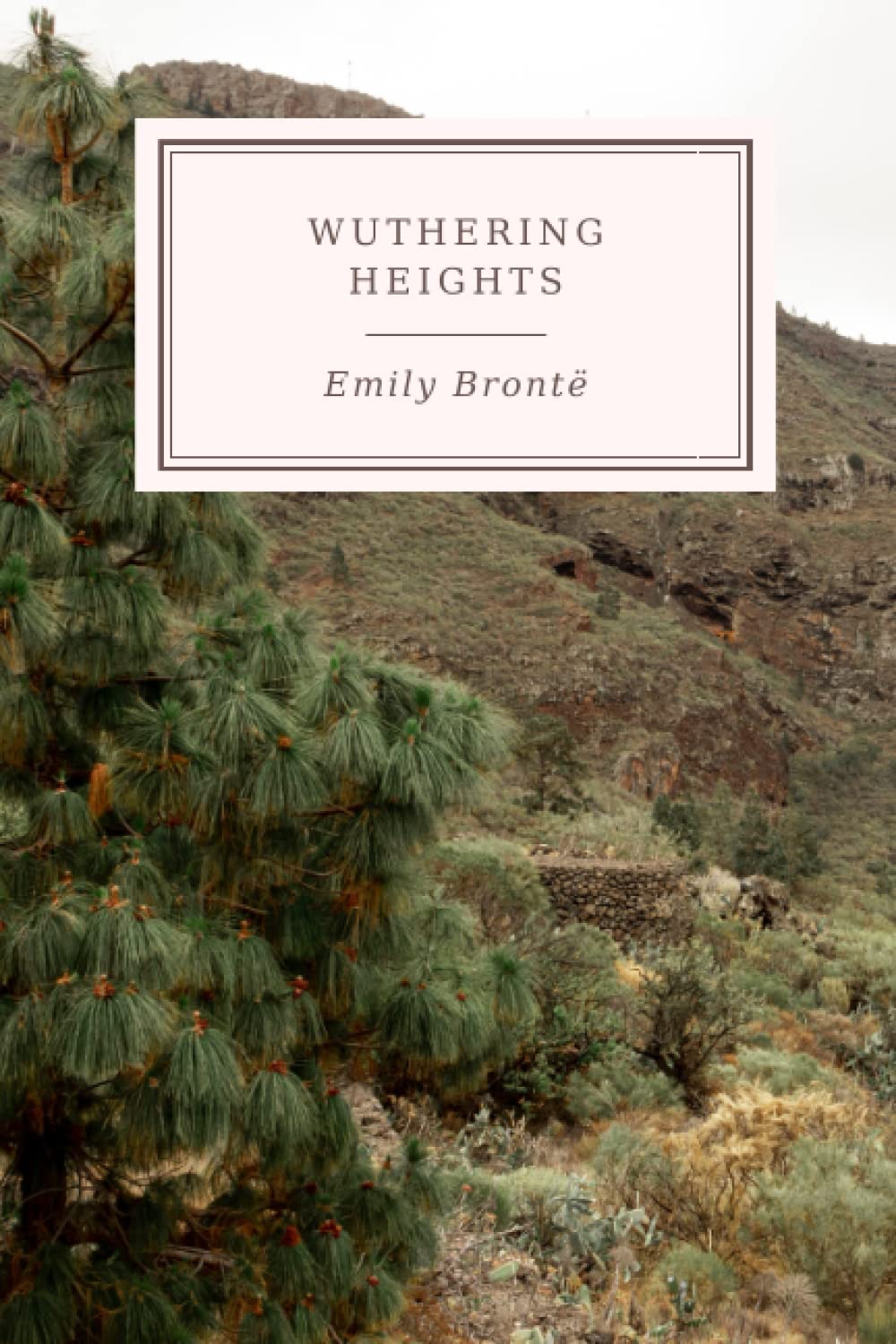 Wuthering Heights: English Edition