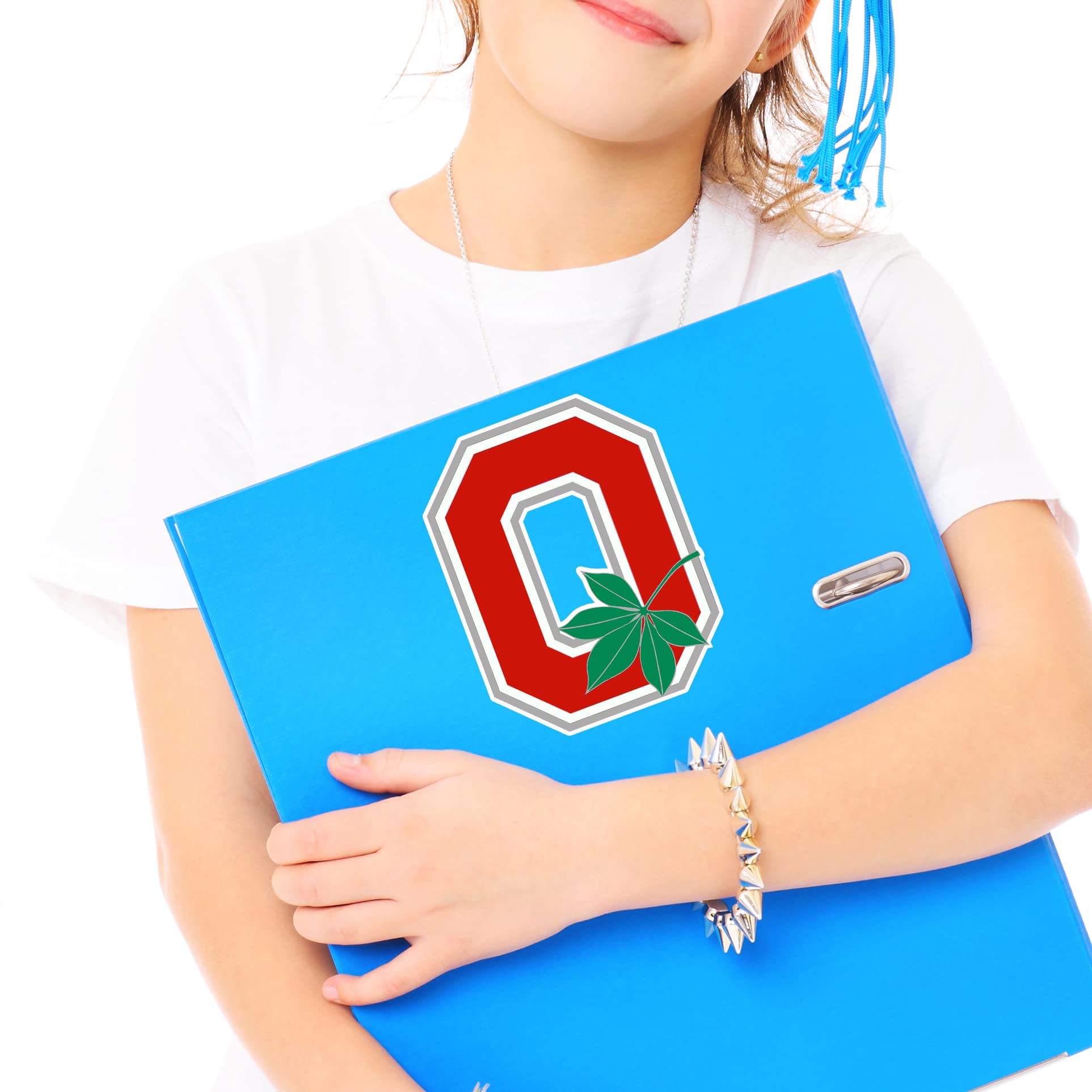 Ohio College Football Sticker Decal Notebook Car Laptop 3.5