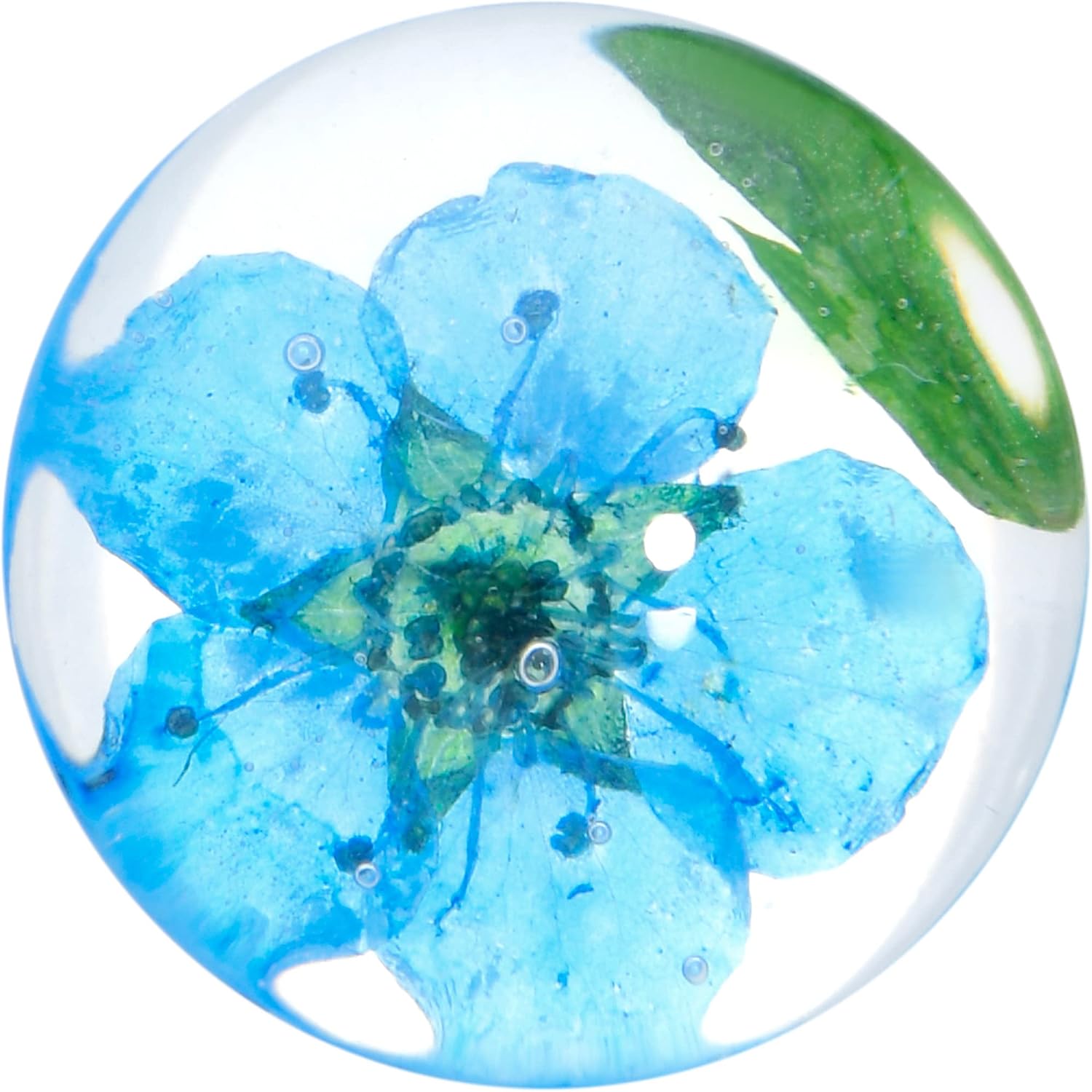 Body Candy Womens 2Pc Clear Acrylic Green Flower Double Flare Tunnel Plug Ear Plug Gauges Set of 2