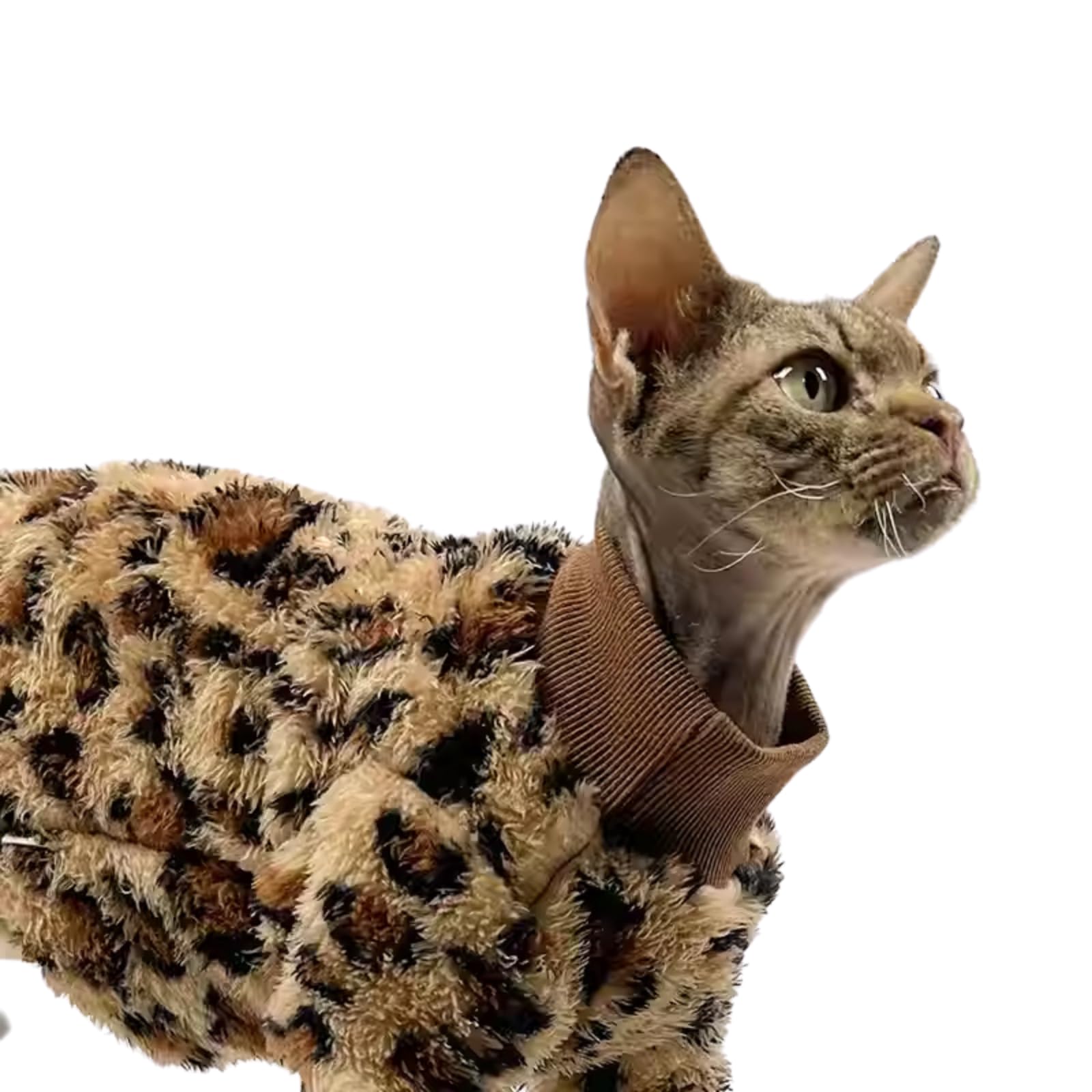 Cat Leopard Double-Sided Fleece Pullover, Soft Warm Clothes for Hairless Sphynx, Devon & All Indoor Kittens in Winter (Leopard,L)