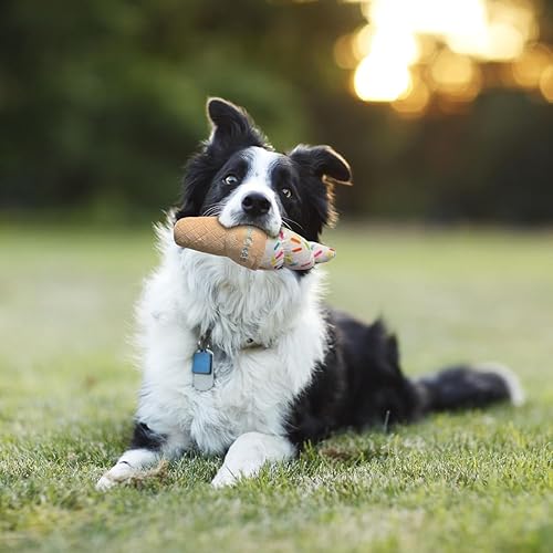 Miniatura 7 de Paquete de 4 juguetes chirriantes de peluche masticables para perros, surtido de alimentos para cachorros, comida para perros calientes, pizza,