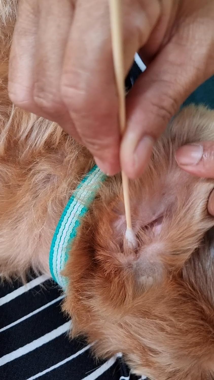 Fast Life Cotton Buds for Dogs