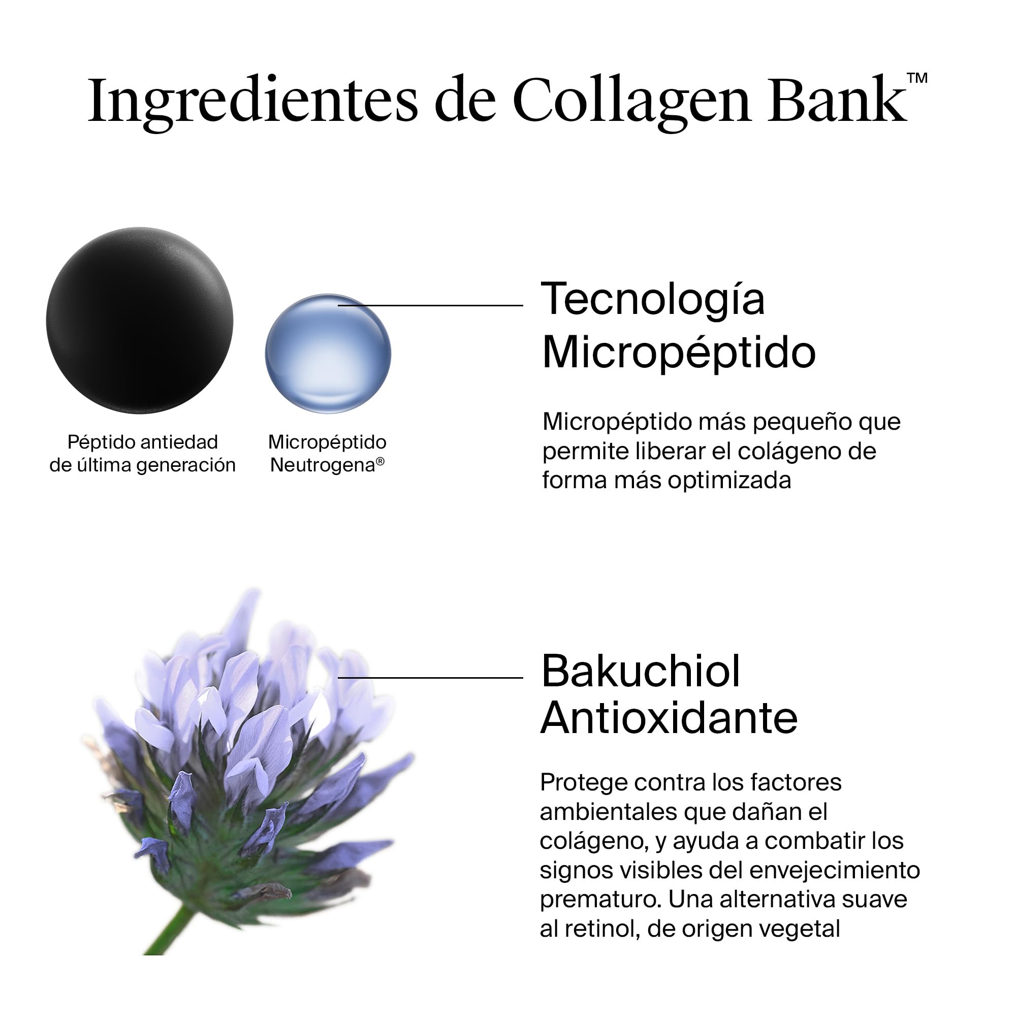 Neutrogena Collagen Bank Crema hidratante facial (1 x 50 ml), crema de noche anti-edad que preserva el colágeno, para una piel más tersa, apta para rostro y cuello