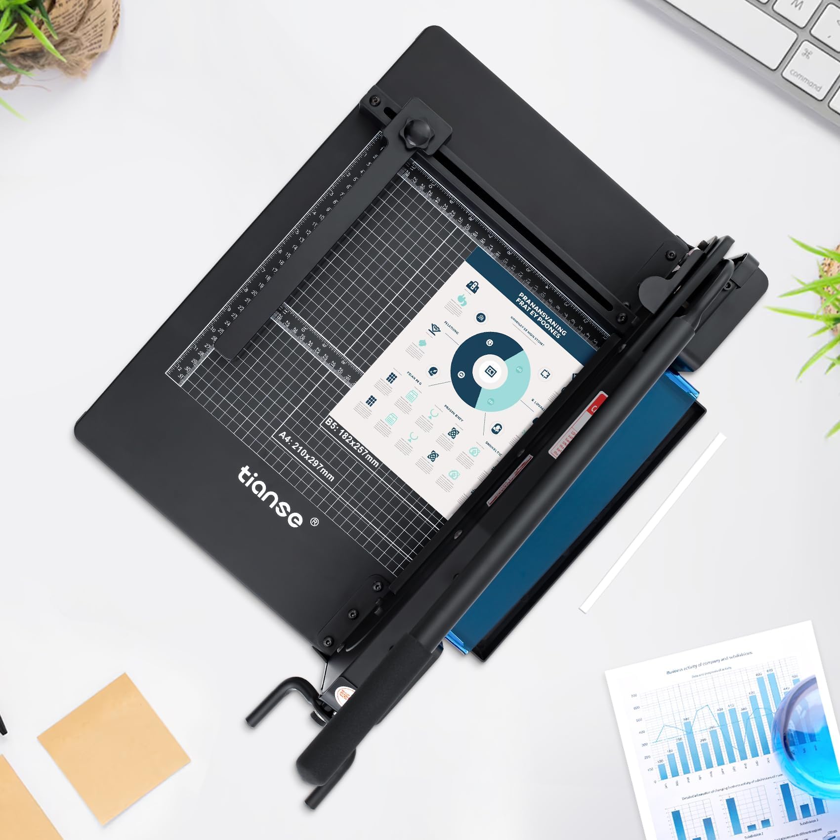 TIANSE Robuster Hebelschneider, A4, 30,5 cm, Papierschneider, 500 Blatt Kapazität, solide Stahlkonstruktion mit doppeltem Sicherheitsschutz, perfekt zum Schneiden von Papier, Karton, Matboard, schwarz