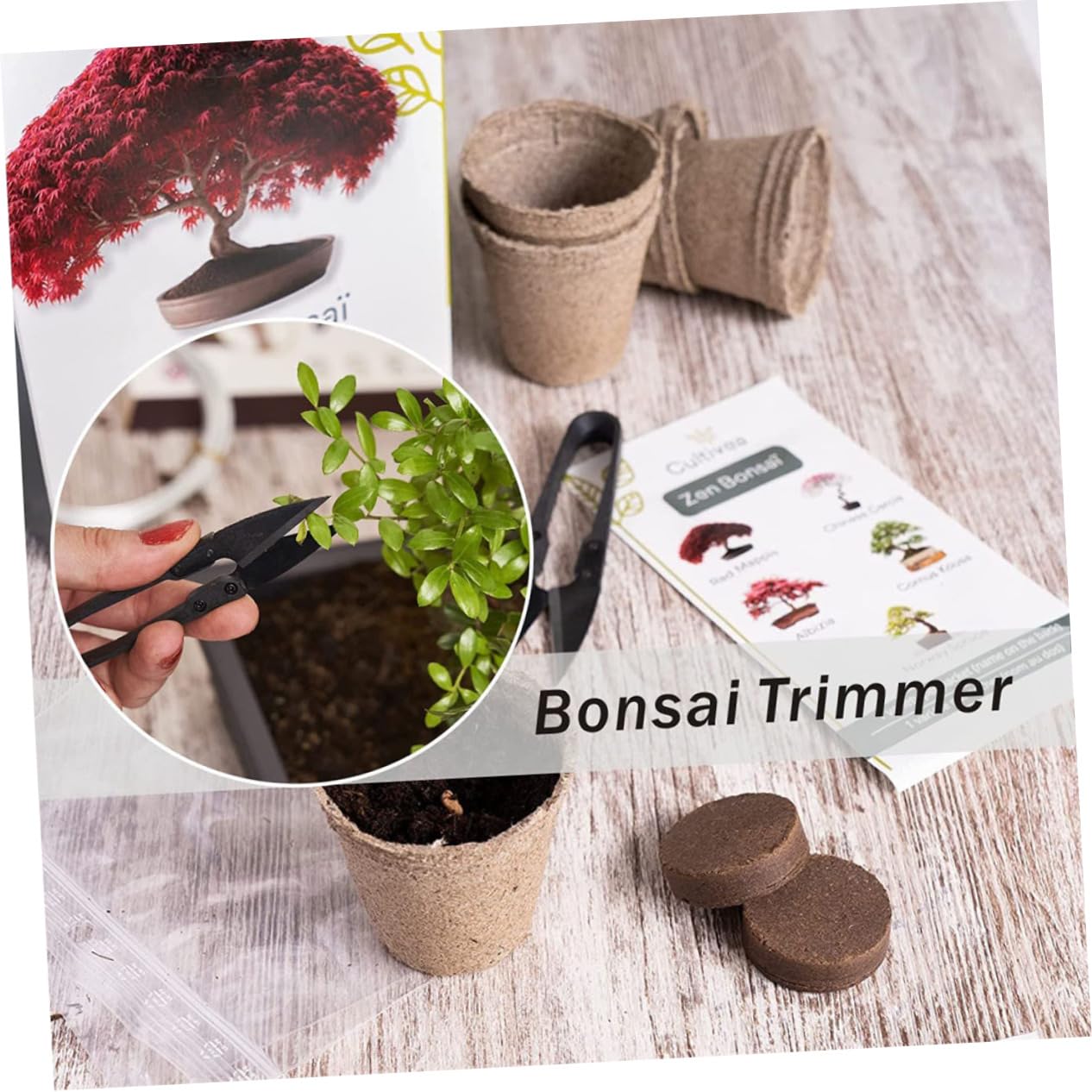 Supvox 60stücke Bonsai Scheren Präzise Gartenwerkzeuge Für Trimmen Von Und Bonsai Ergonomischer Griff Für Müheloses Schneiden Für Hobbygärtner Und Floristen