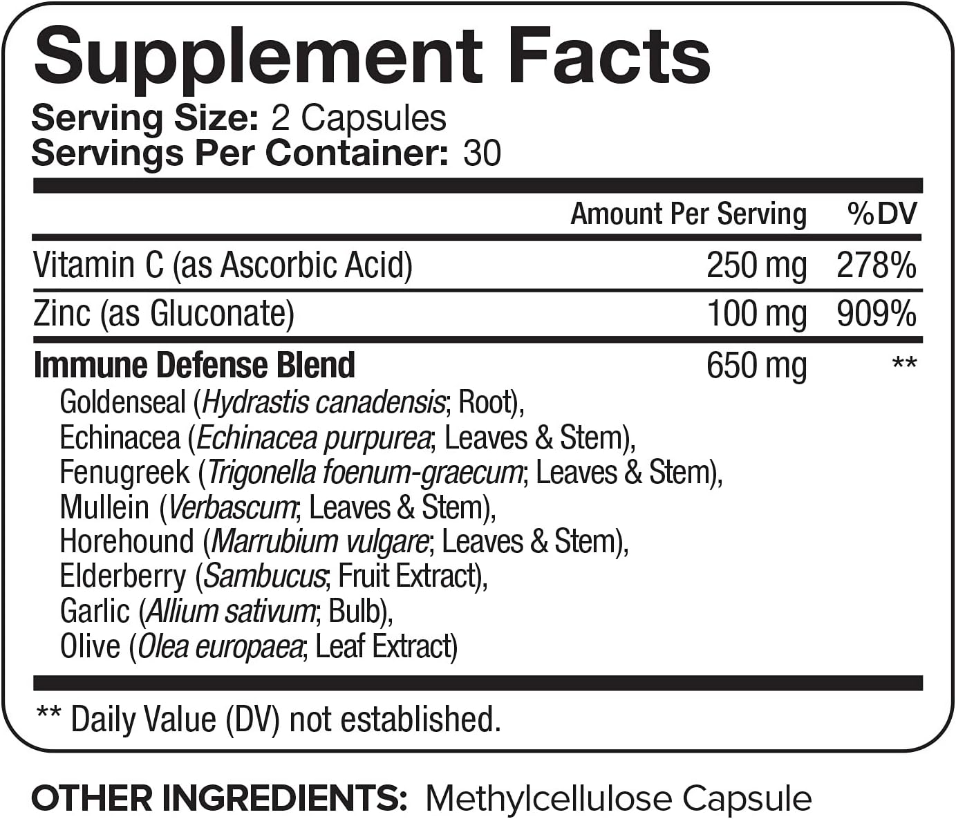 Buy Nutrivein Immune Support Boost Your Immune System With Elderberry Zinc Vitamin C Garlic Echinacea Prebiotics 1600mg Daily Dose Supports Healthy Lifestyle And Stress Relief 60 Capsules Online In Indonesia B089798w8b