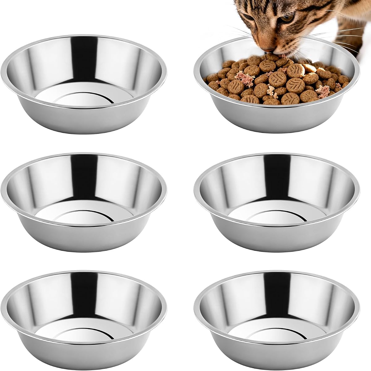6PCS 5.6" Stainless Steel Whisker Friendly Cat Food & Water Bowls | Shallow Wide Design, Ideal for Kittens & Indoor Cats, Dishwasher Safe, Durable Rust-Resistant Pet Feeding Dishes