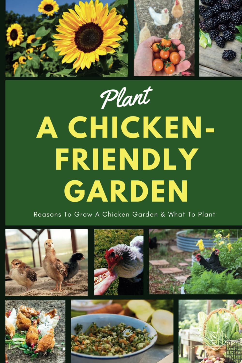 Plant A Chicken-Friendly Garden: Reasons To Grow A Chicken Garden & What To Plant: Chickens In The Garden - What You Need to Know