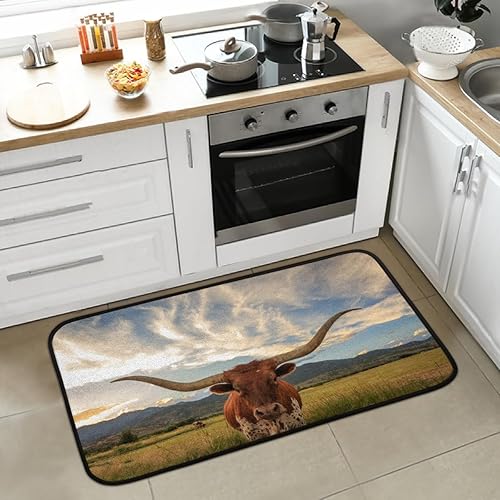 Longhorn Steer - Tapetes de cocina acolchados antifatiga, antideslizantes, lavables, para el hogar, oficina, fregadero y lavandería, 39 x 20 pulgadas
