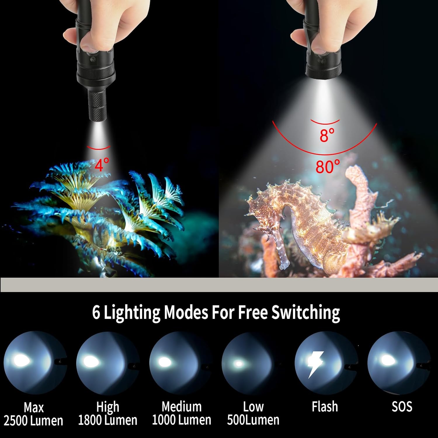 V21 Super Bright 2500 Lumen Dive Light - IP68 Waterproof Underwater Flashlight with 3 Adjustable Beams (Spot/Flood/Wide), for Scuba Diving, Night Diving, Underwater Photography & Macro Video