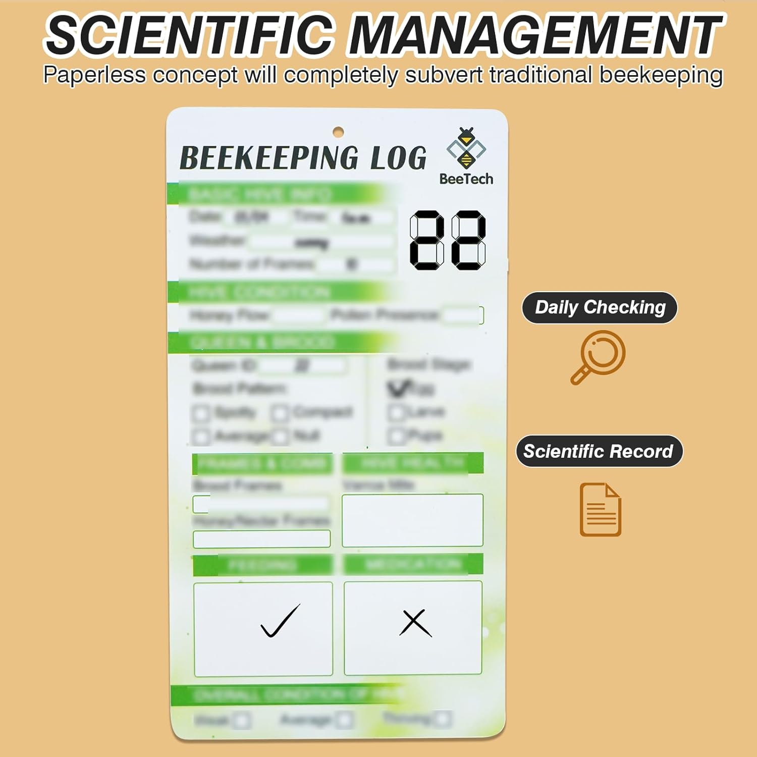 Painted Beehive with Windows Langstroth 10 Frame – 4-Layer Bee Hive Includes 20 Medium & 20 Deep Frames with Wax Foundations (2 Deep & 2 Medium Super Bee Box)