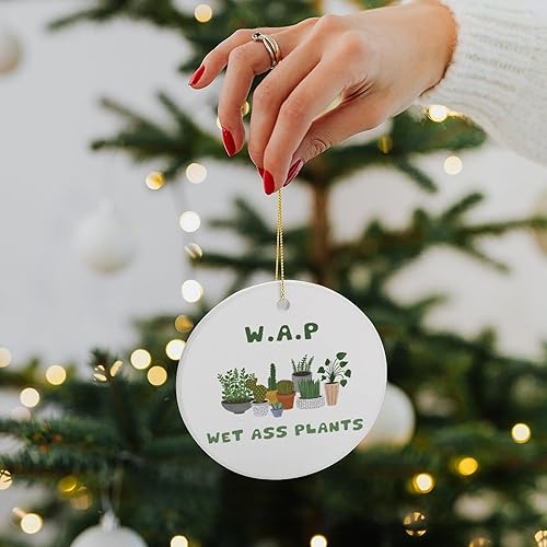 Miniatura 7 de EQEY Adornos de plantas para árbol de Navidad, decoración de Navidad de señora de plantas locas, bonitos y divertidos adornos de cerámica para