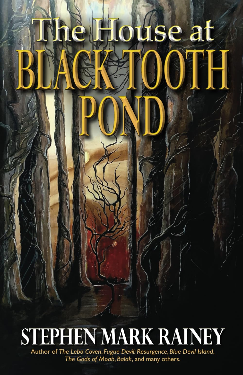 Cover of The House at Black Tooth Pond