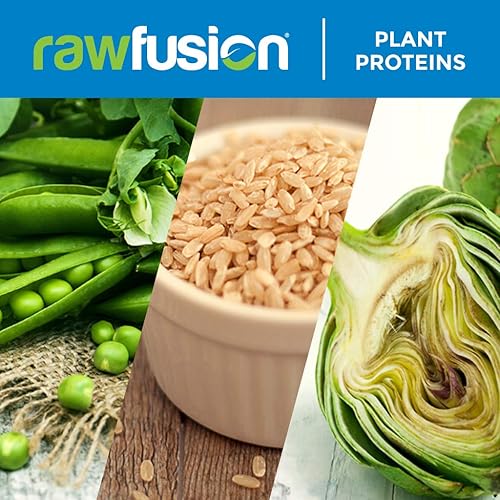 Miniatura 5 de San Nutrition rawfusion Plantas Proteínas en Polvo, natural Chocolate, 1libra, SAN1041100102, 1, 1