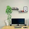 Product Photo 7