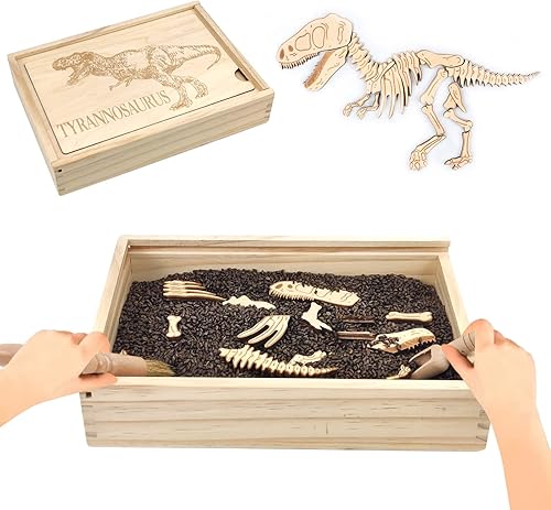 Xylolin Kit de excavación de dinosaurios de arqueología para niños, juguetes de recipiente sensorial para explorar fósiles, rompecabezas de huesos