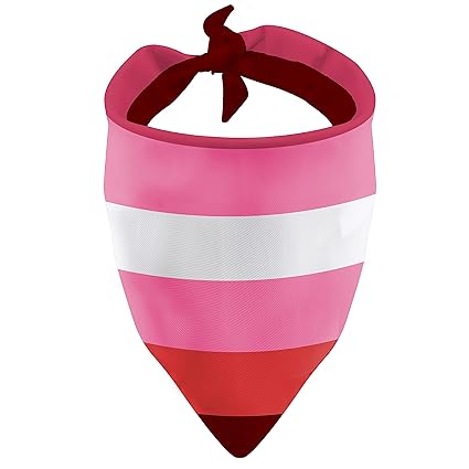 BLUPARK Gay Pride Gift LGBT Dog Bandanas Rainbow Pride Pet Scarf Bisexual Pride Gift Transgender Pride Gift (Lesbian)