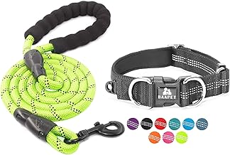 BAAPET XS - 3/4" x (9"-13") X-Small Black Dog Collar + Leash