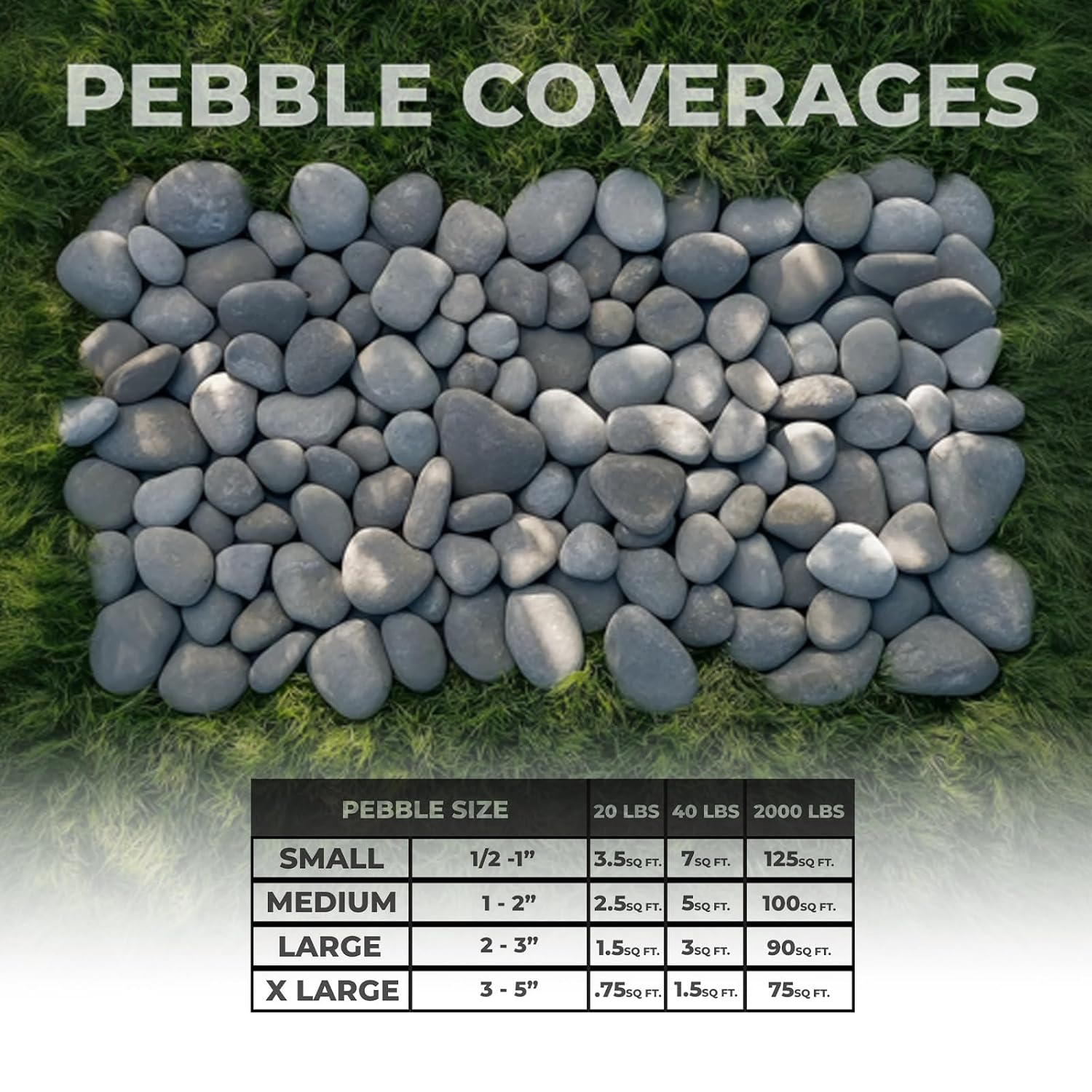 Unpolished River Rocks in Bulk - Beautiful Natural Mexican Beach Pebbles & Stones Ideal for Landscaping, Garden, Pathways, Aquarium. Hand Chosen from Baja Peninsula