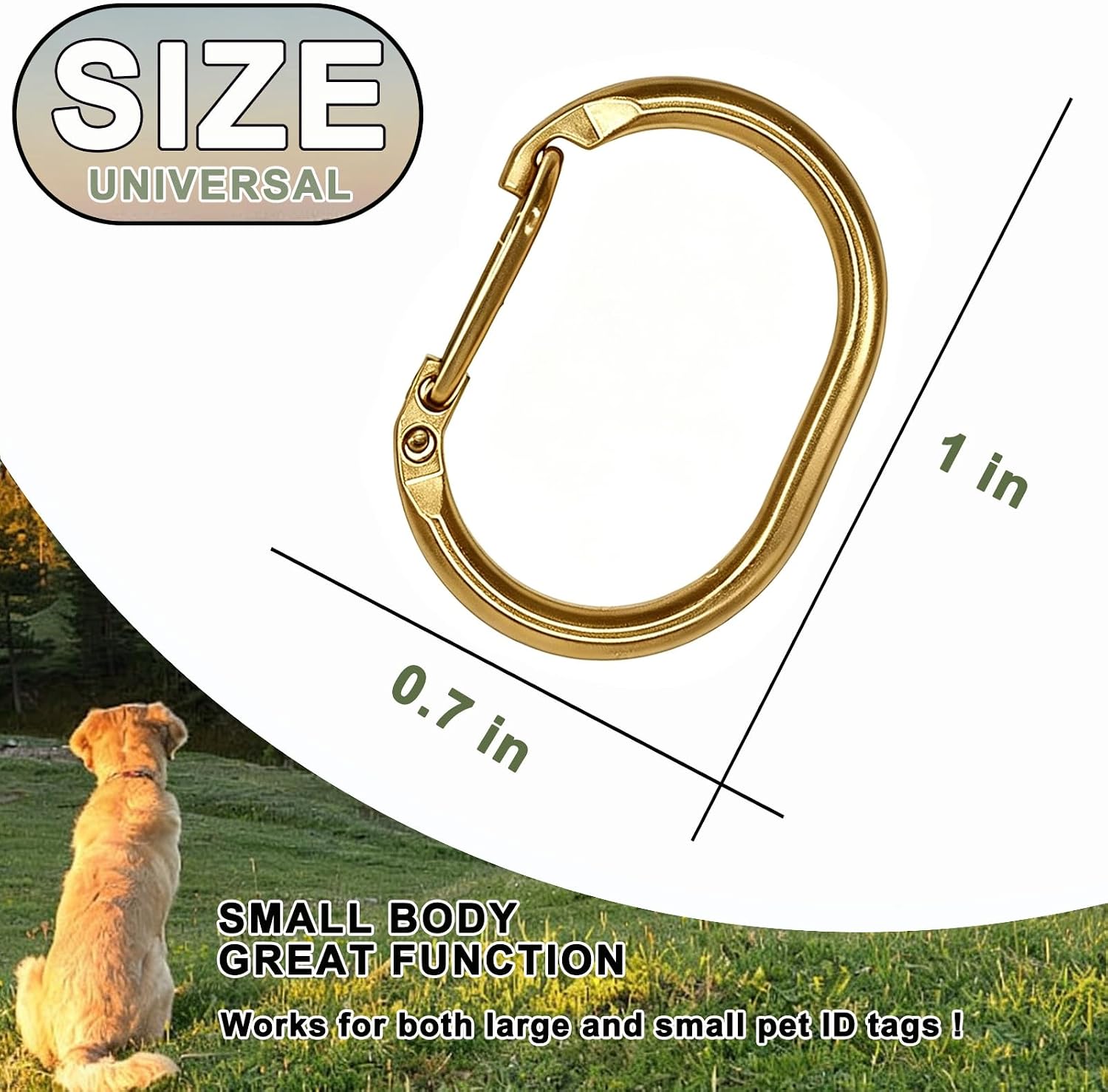 Dog ID Tag Clips | 3 Pack | Stainless Steel Quick-Release Dog Tag Holder for Dog & Cat Collars | Durable Tag Connector for Easy Attachment & Safety (Gold)