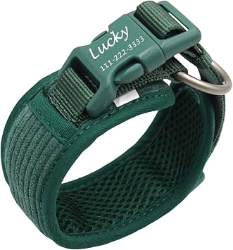 PETDURO Dark Green Personalized Dog Collars for Medium Large Dogs