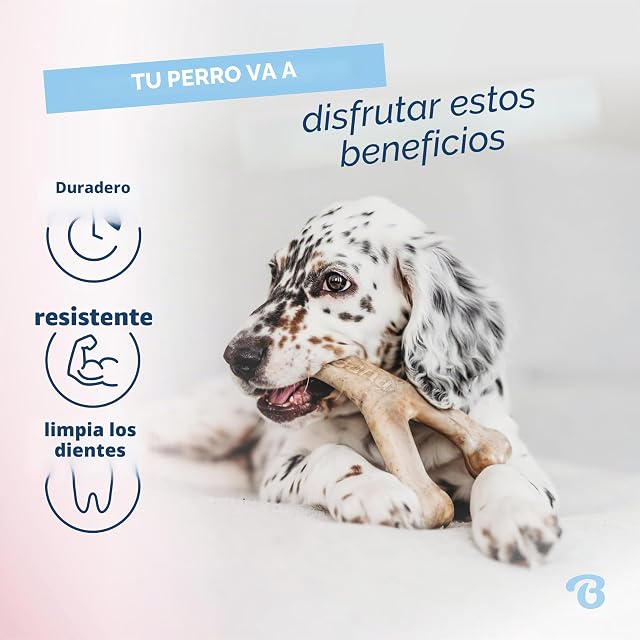 Foto 3 de 6 de Benebone Juguete para morder Cachorros, 2 Unidades más Blando para masticadores más comedidos