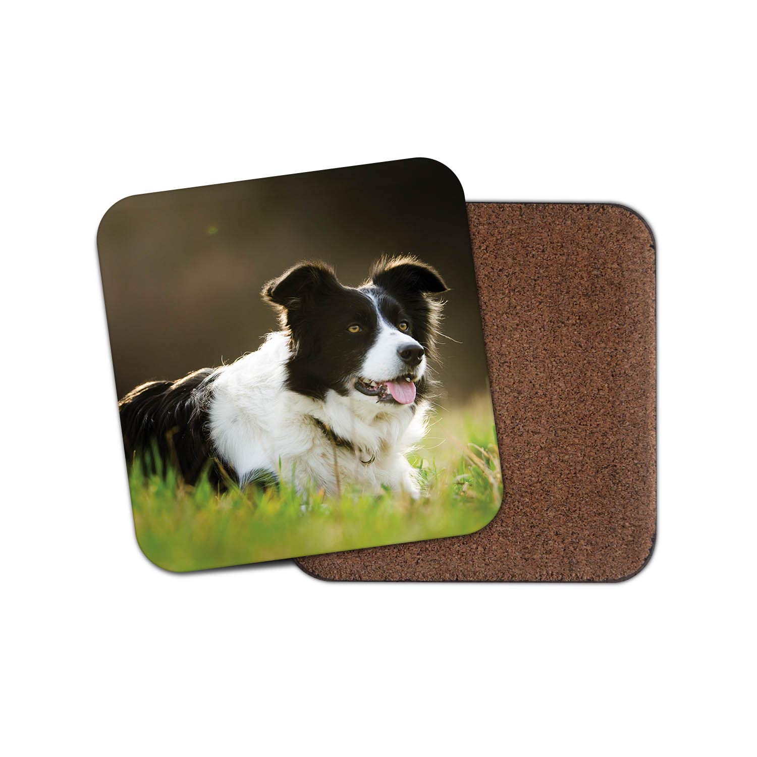 Destinationvinyl Multicolor 1 X Cute Border Collie Drinks Coaster - Sheep Dog Farm Farmer Puppy Fun #8614