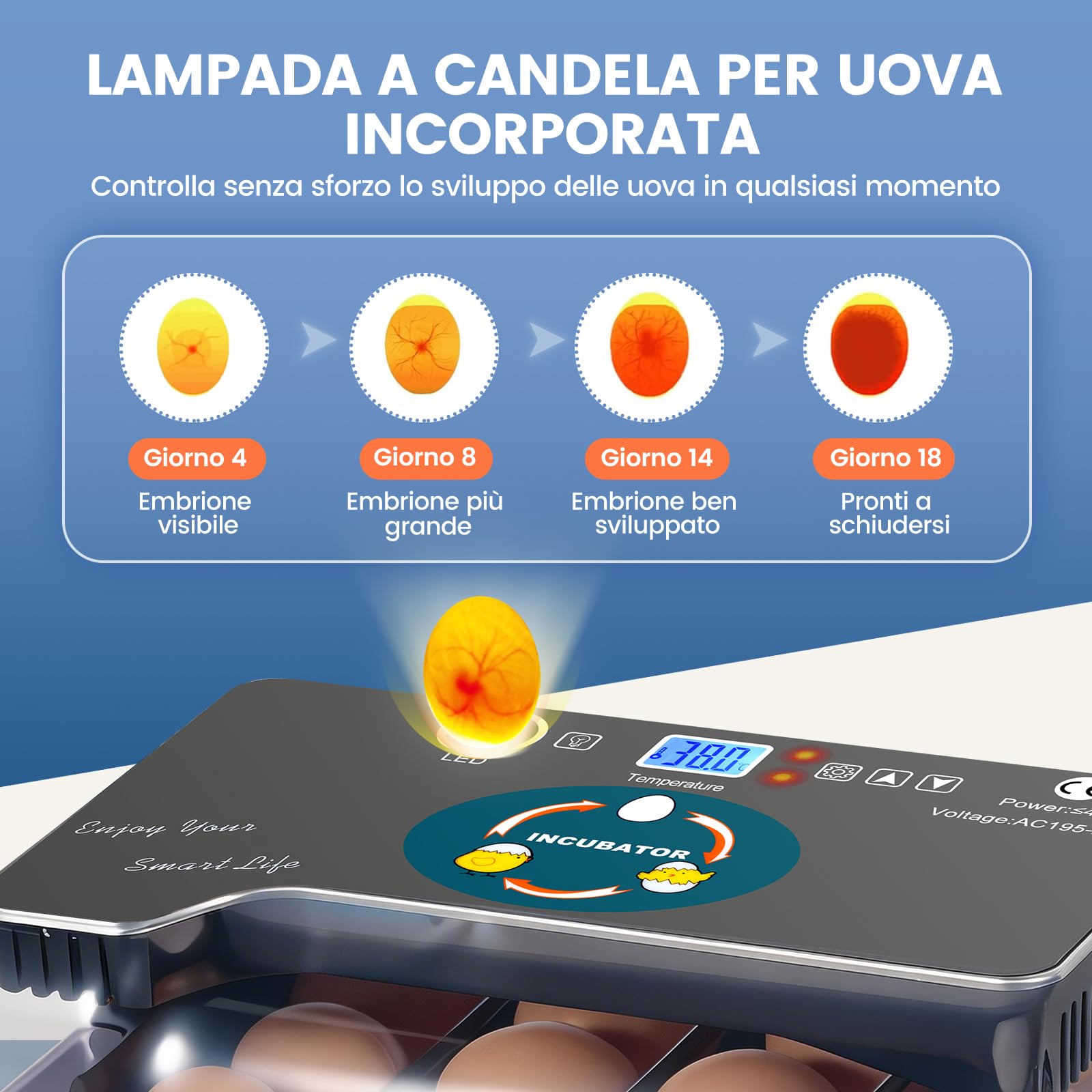 Incubatrice per Uova, 12-35 Uova Completamente Automatica con Display Della Temperatura, Controllo Della Temperatura e Giratore Automatico Delle Uova, per Galline da Cova, Quaglie, Anatre, Oche