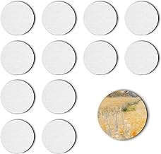 12 PIECE CANVAS SET - Magnetic Cotton Canvas for Acrylic, Oil and Gouache Paints with Structural Paste (Circular 12)