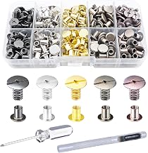 150 Pz Rivet Cuir, Rivet pour Cuir a Frapper, Vis Chicago, Rivets pour vêtements, chaussures, vestes, sacs à dos, reliure de livres et ceintures (5 couleurs), avec jeu de poinçons à cuirs