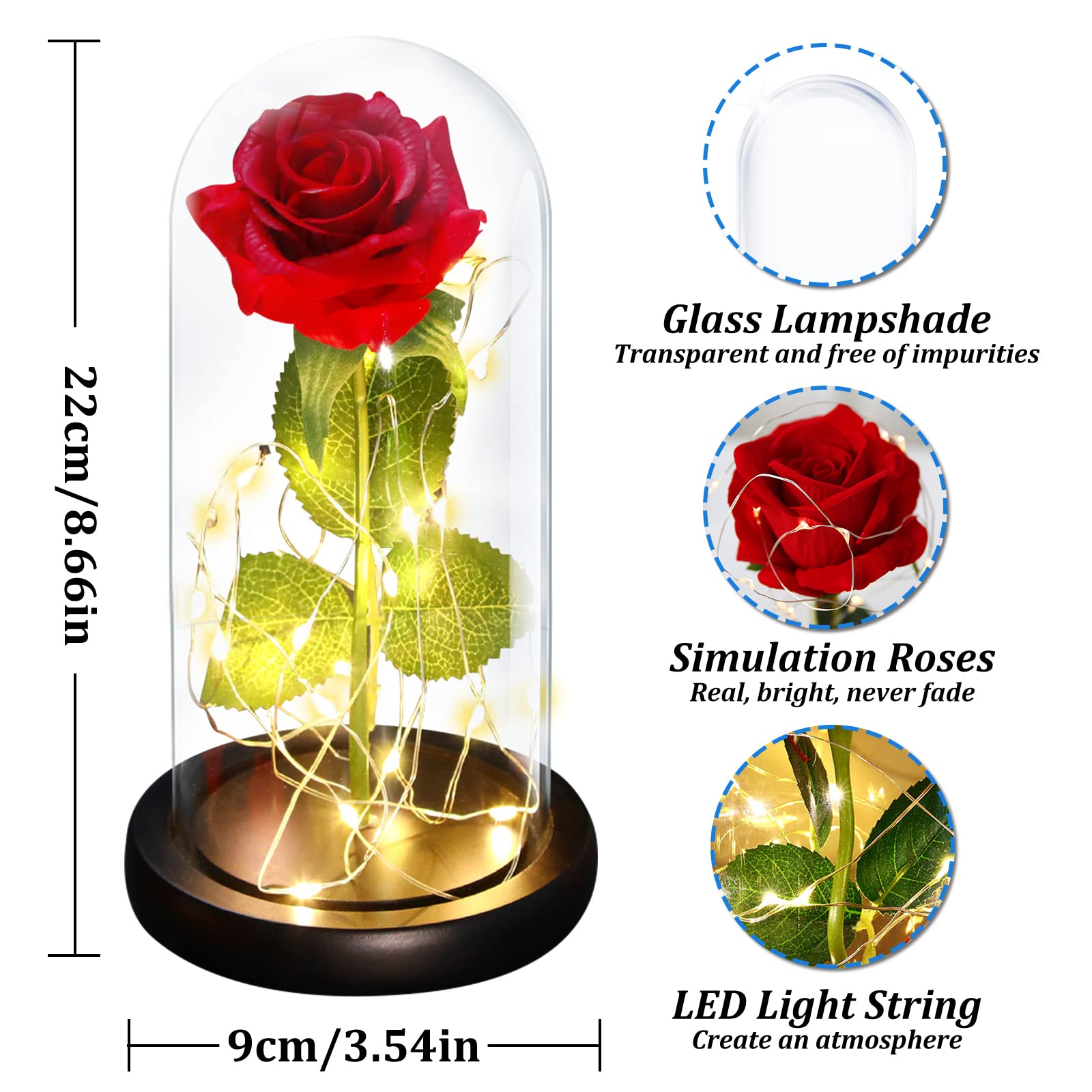Rosa Eterna, Kit Elegante Con Cúpula de Cristal, Base Pino, Luces LED y Tarjeta de Felicitación - Bella y Bestia Para San Valentín, Día de Madre, Boda