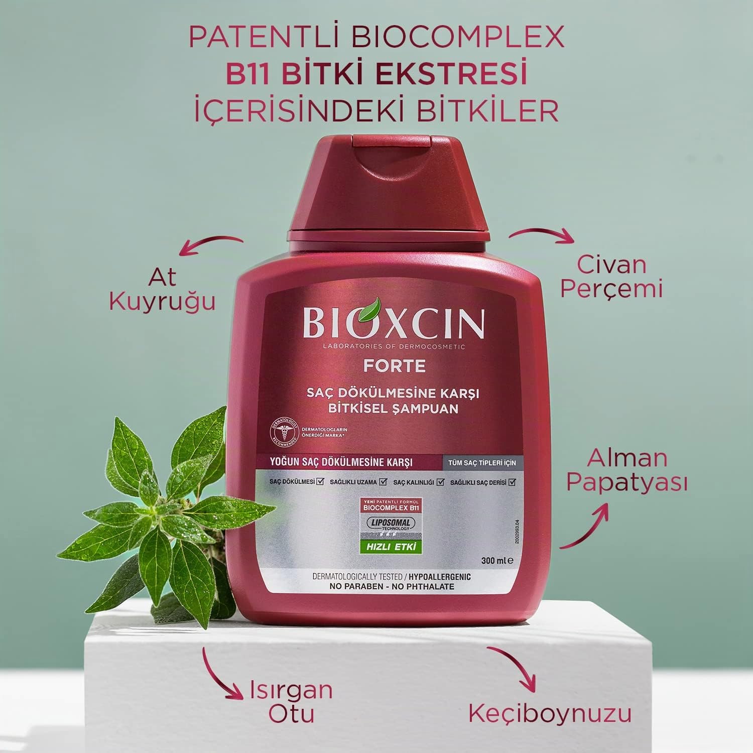 BIOXCIN FORTE Shampoo contre la chute intense des cheveux – Efficace & Rapide – Avec Bio Complex B11 – Testé cliniquement – Croissance de cheveux plus forte et plus épais