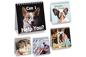 Hilariously Humorous Desk Signs: A Dog Lover's Delight (30+ Flipping Good Messages)