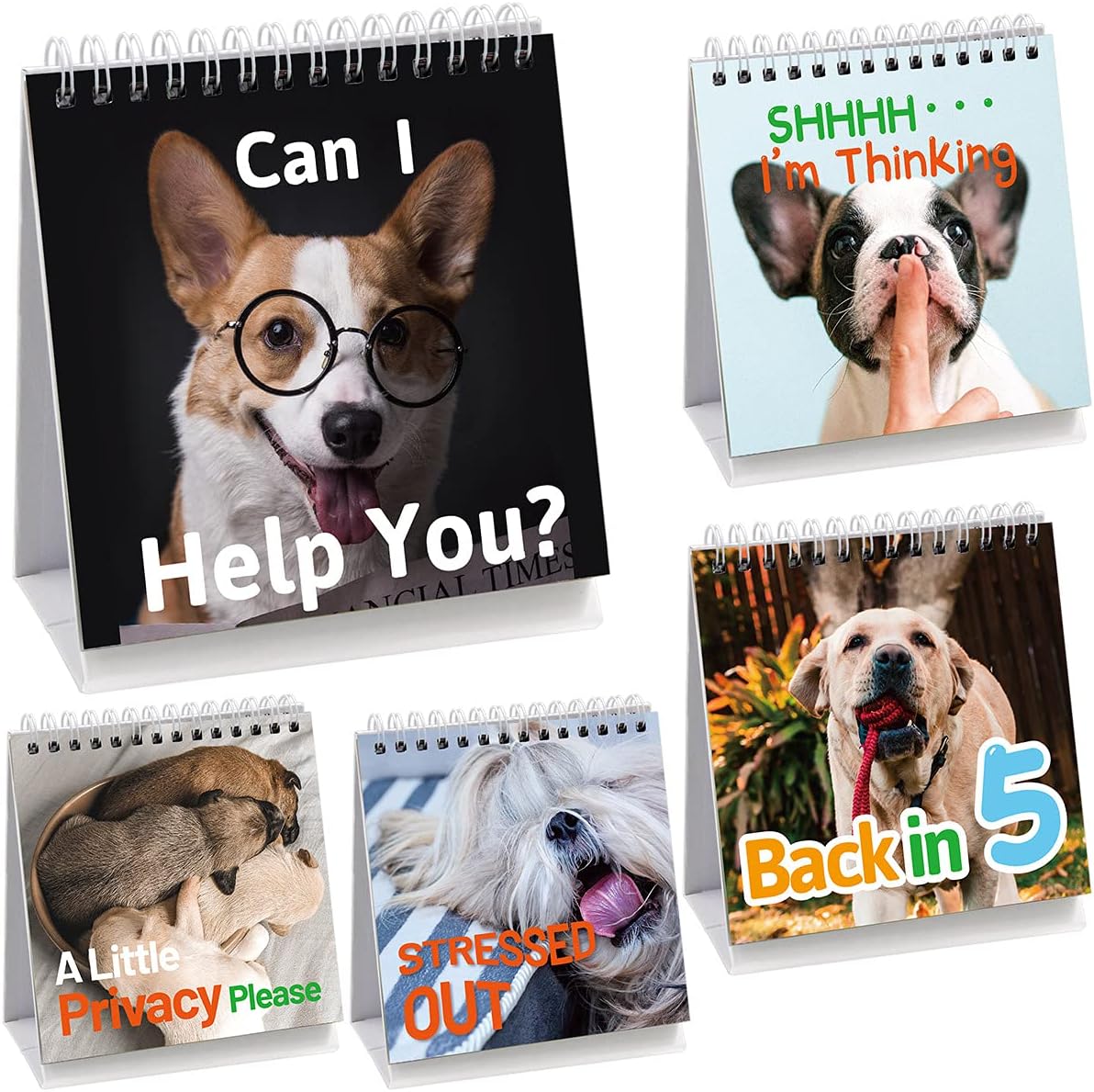Fancy Land Funny Desk Signs 30 Flip-Over Messages Office Desk Accessories
