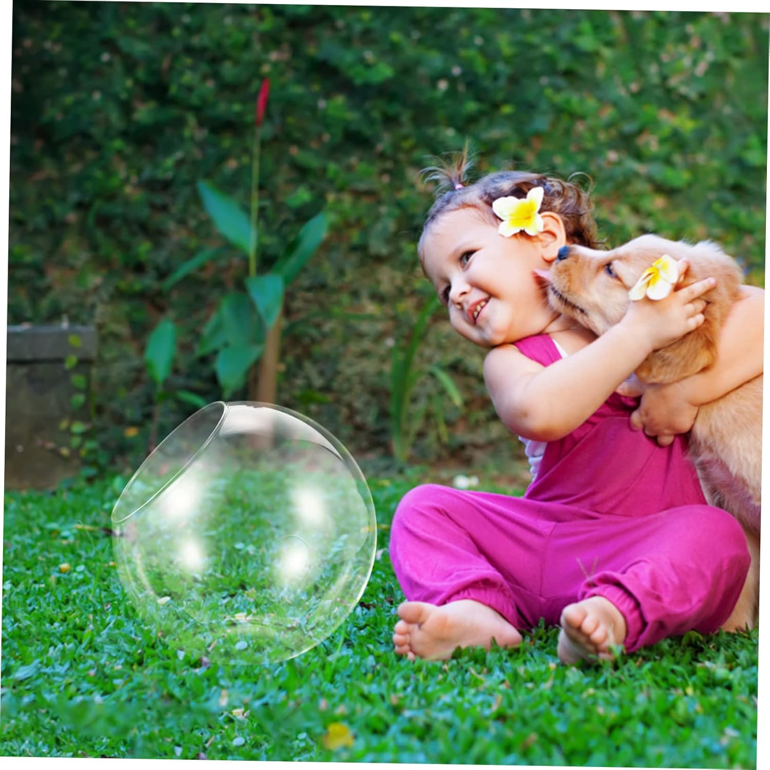 BESPORTBLE Glass Terrarium Bottle High Transparency DIY Moss Plant Container for Succulents Air Plants Elegant Tabletop Display for Home Decoration Micro Landscape Vase