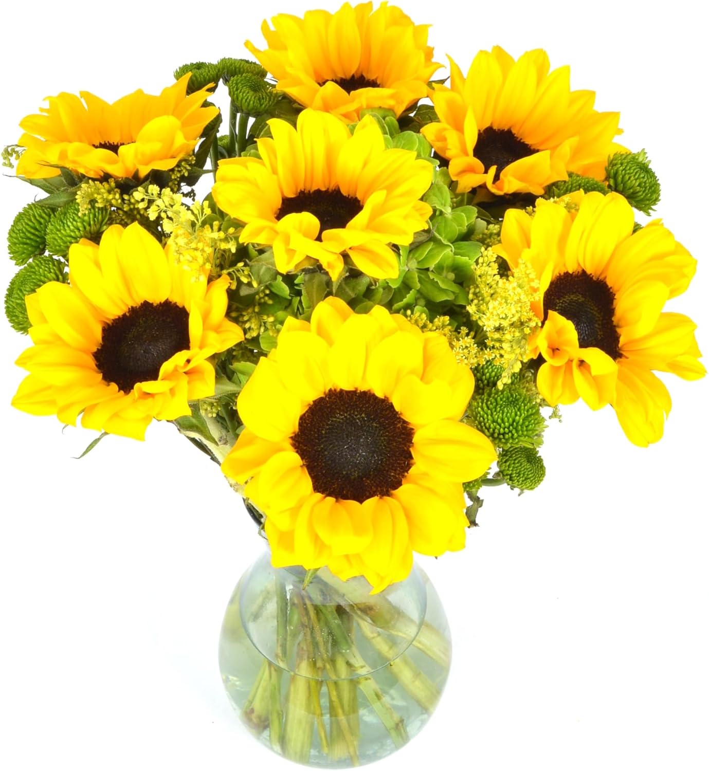 Sunny Day in Opal Vase | Fresh Sunflowers, Yellow Aquabloom Arrangement | Arabella Bouquets | Flowers for Delivery, Graduation, Birthday, Congratulations, Thanksgiving