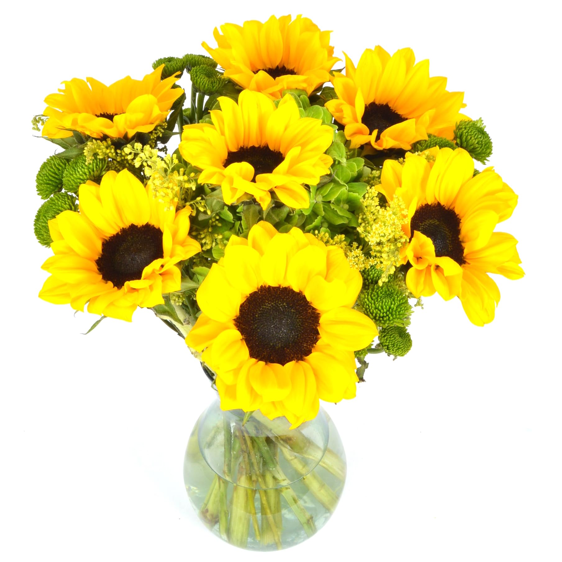 Luminous | Yellow Fresh Sunflowers Arrangement with Vase | Arabella Bouquets | Flowers for Delivery, Graduation, Birthday, Congratulations Classic